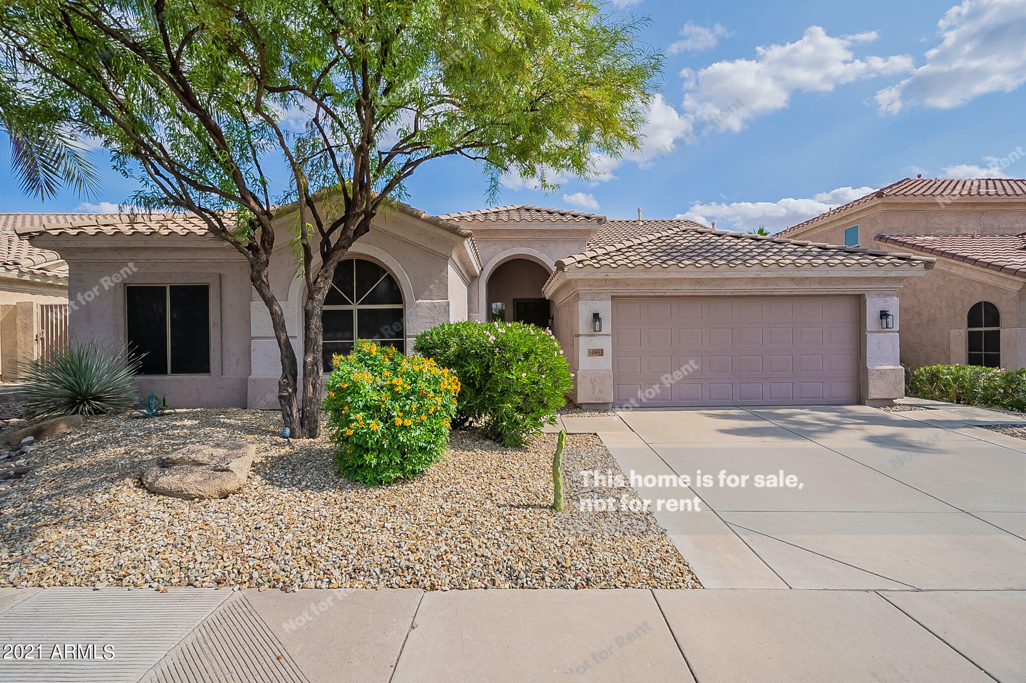 Property Photo:  16843 S 15th Avenue  AZ 85045 