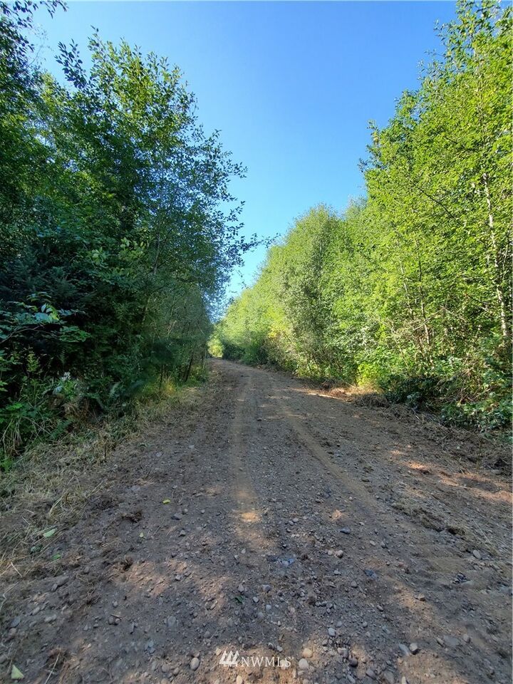 MLS1847087 9999 Goodman Mainline, Forks, WA 98331