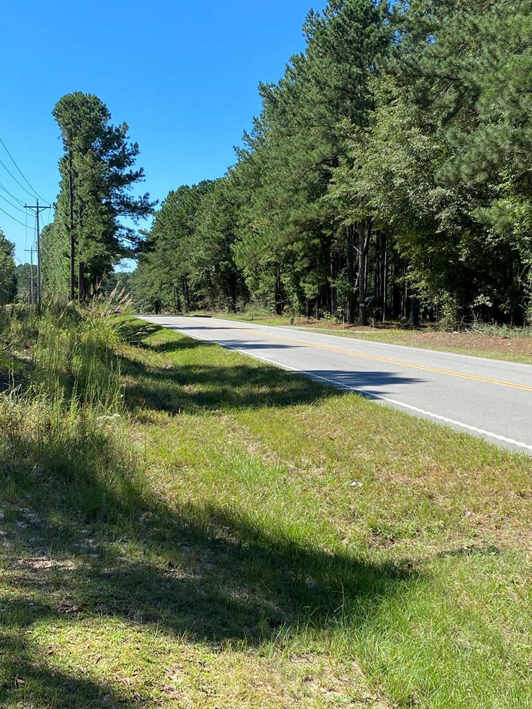 Property Photo: 00 Reynolds Pond Road SC 29805