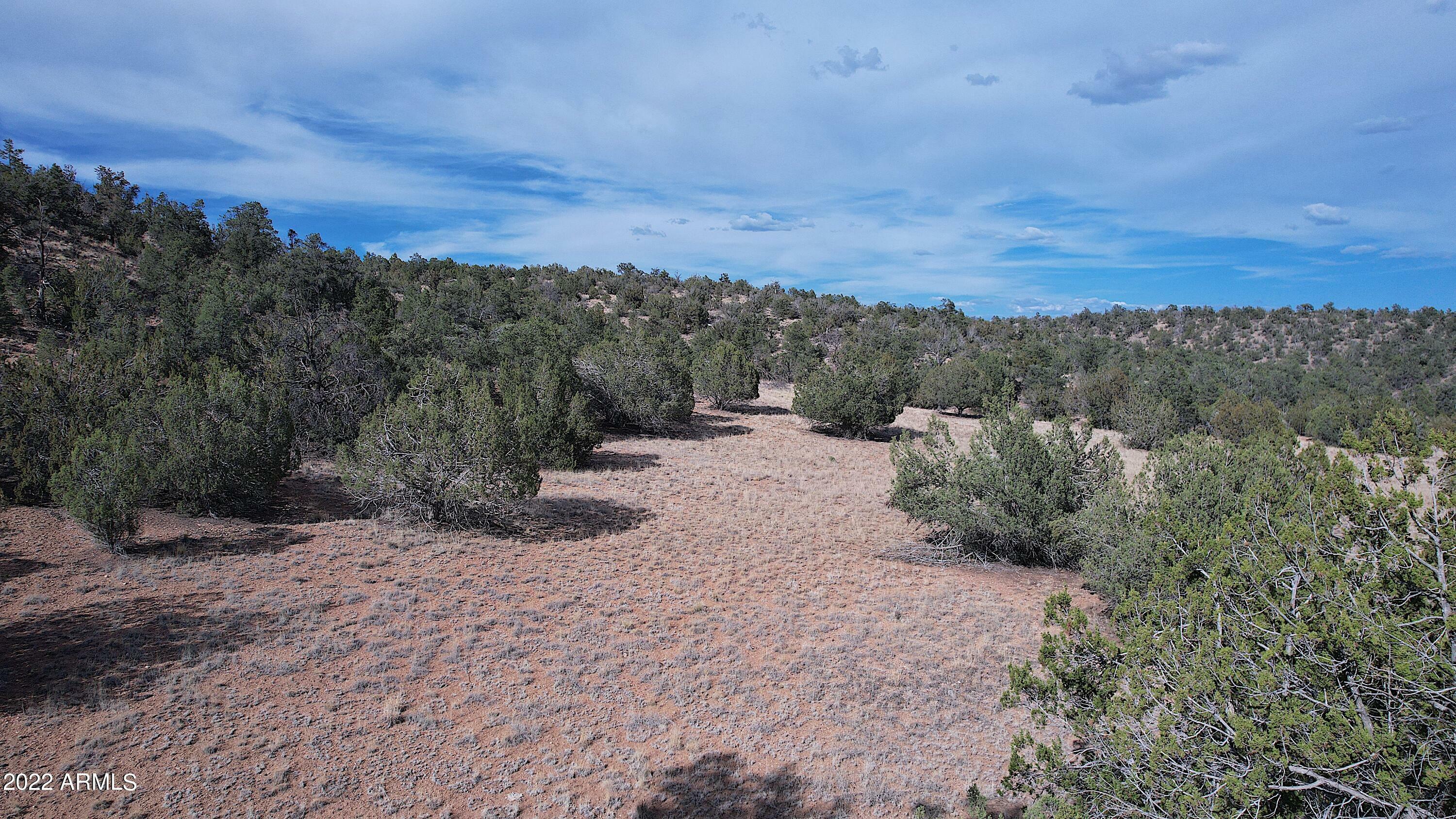 Property Photo:  52471 N Camino Gato -- 2099  AZ 86337 