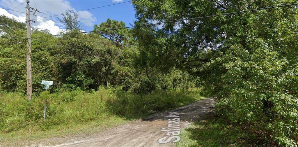 Property Photo:  Salinas Avenue  FL 34654 