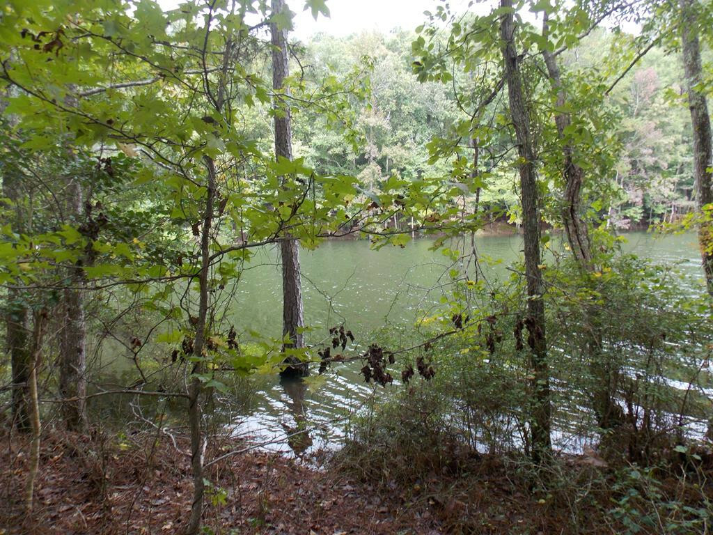 Property Photo:  12 Riverview Court  GA 30817 