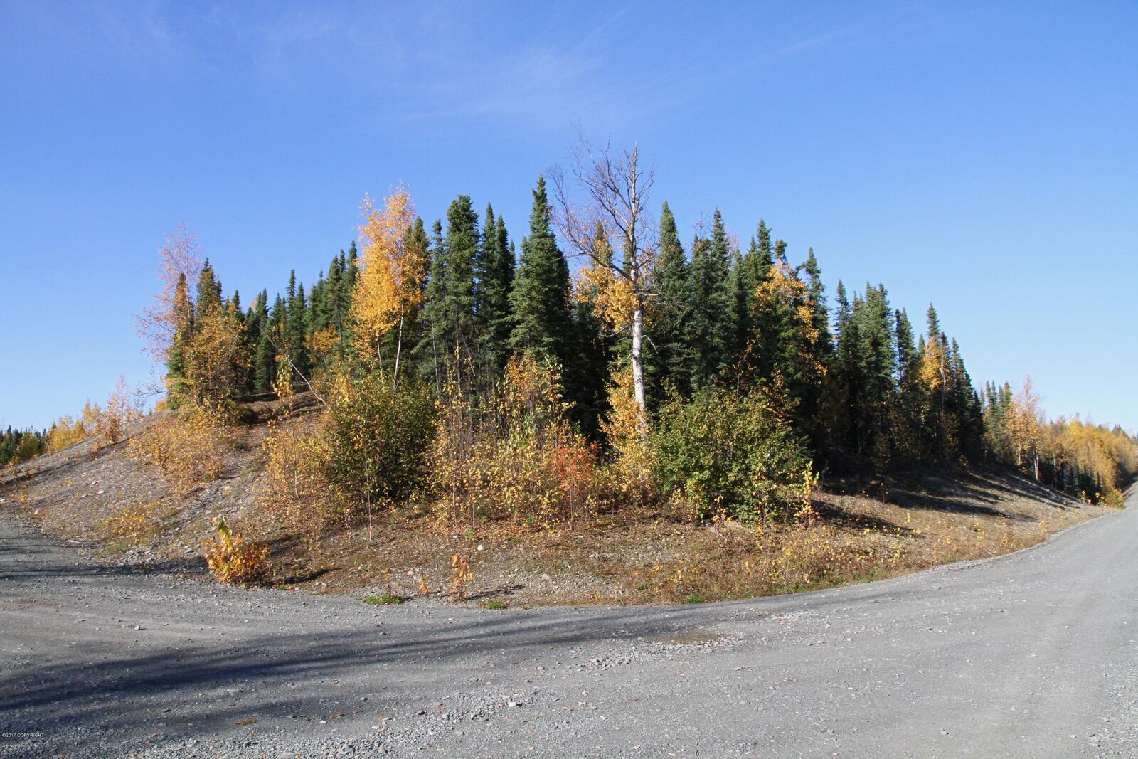 Property Photo: L6 B1 Steele Road AK 99669