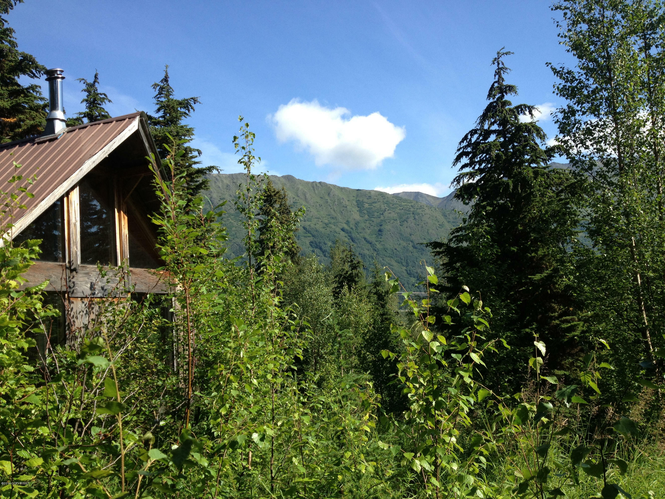 Property Photo:  34762 Caribou Heights Circle  AK 99572 