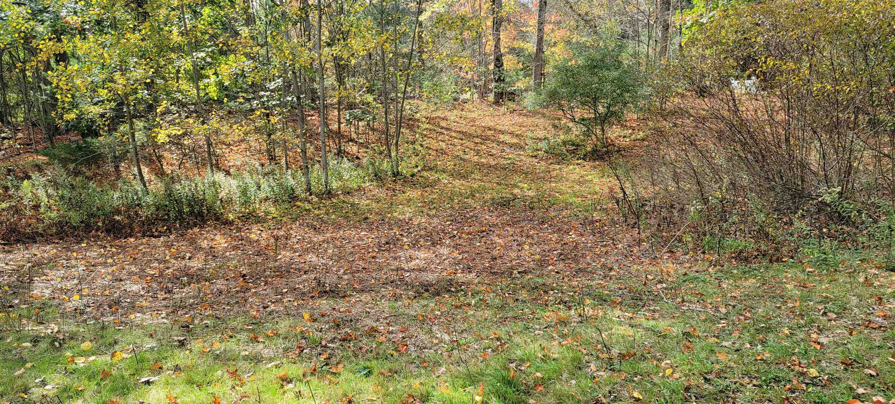Property Photo: Lot 22 Kaime Road NH 03263