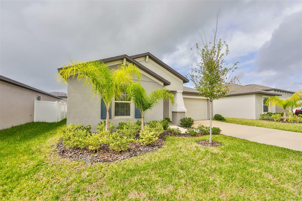 Property Photo:  11334 Misty Moss Drive  FL 33598 