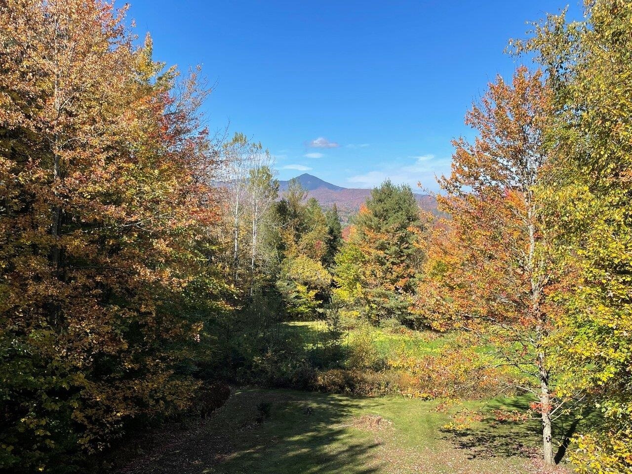 Property Photo:  858 Worcester Loop  VT 05672 