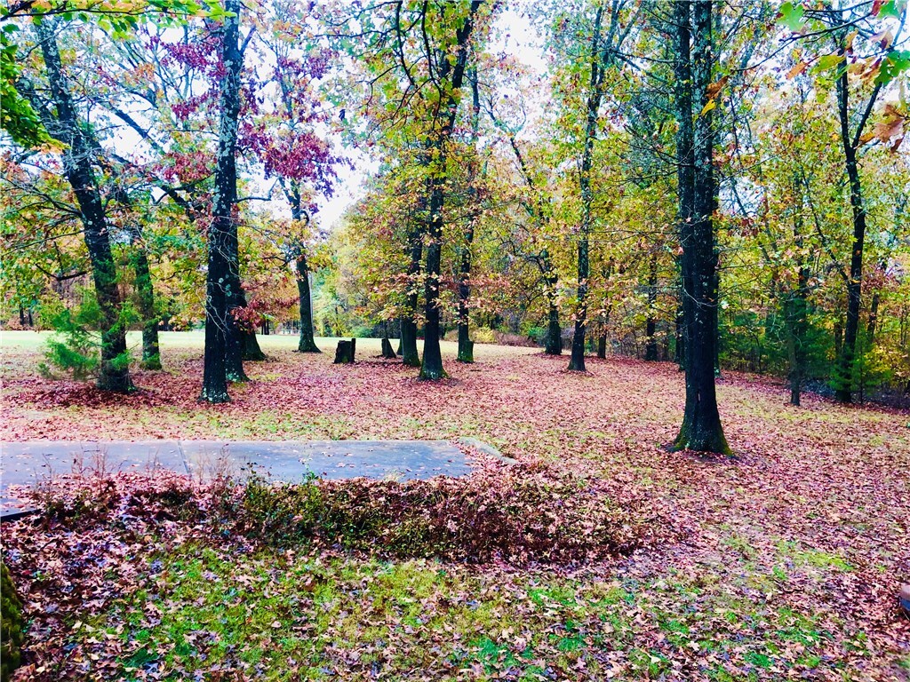 Property Photo: 4608 Rocky Ridge AR 72756