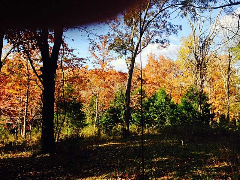 Property Photo: 11926-38 Plank Road AR 72756