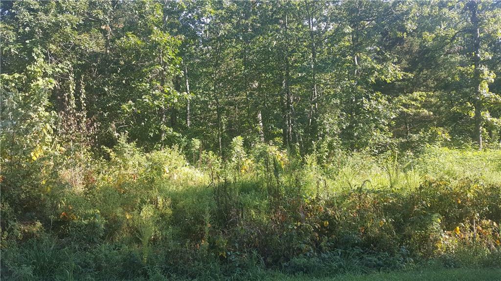 Property Photo:  Lot 25 Melanie Drive  AR 72714 