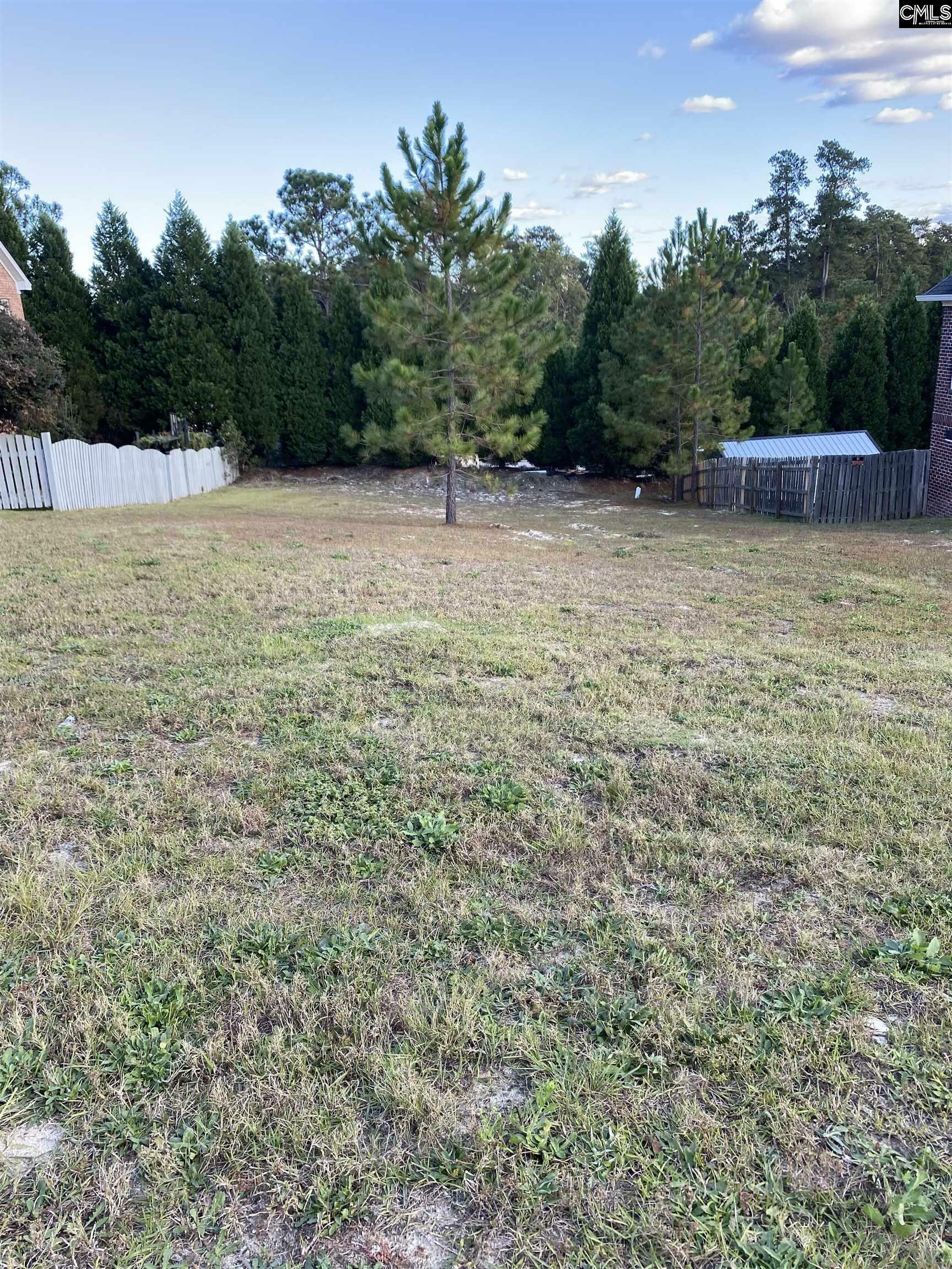 Property Photo:  217 Polo Hill  SC 29223 