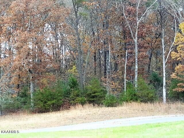 Property Photo:  York Lane  TN 38555 