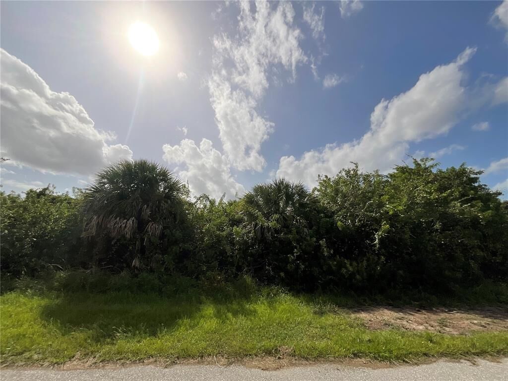 Property Photo:  14101 Union Hall Avenue  FL 33981 