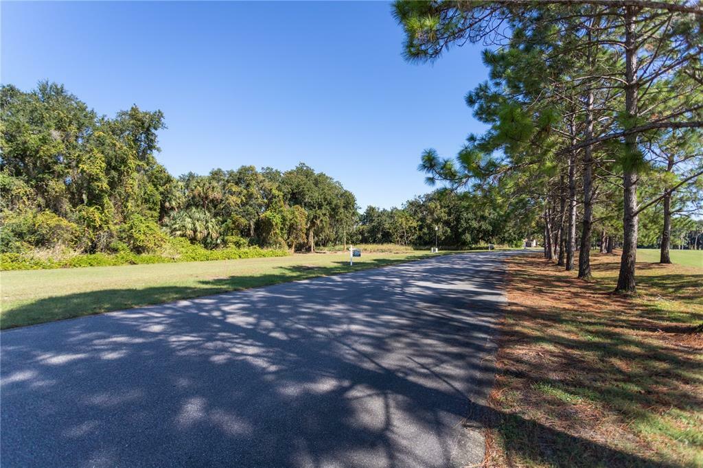 Property Photo:  Blue Heron Circle  FL 32778 