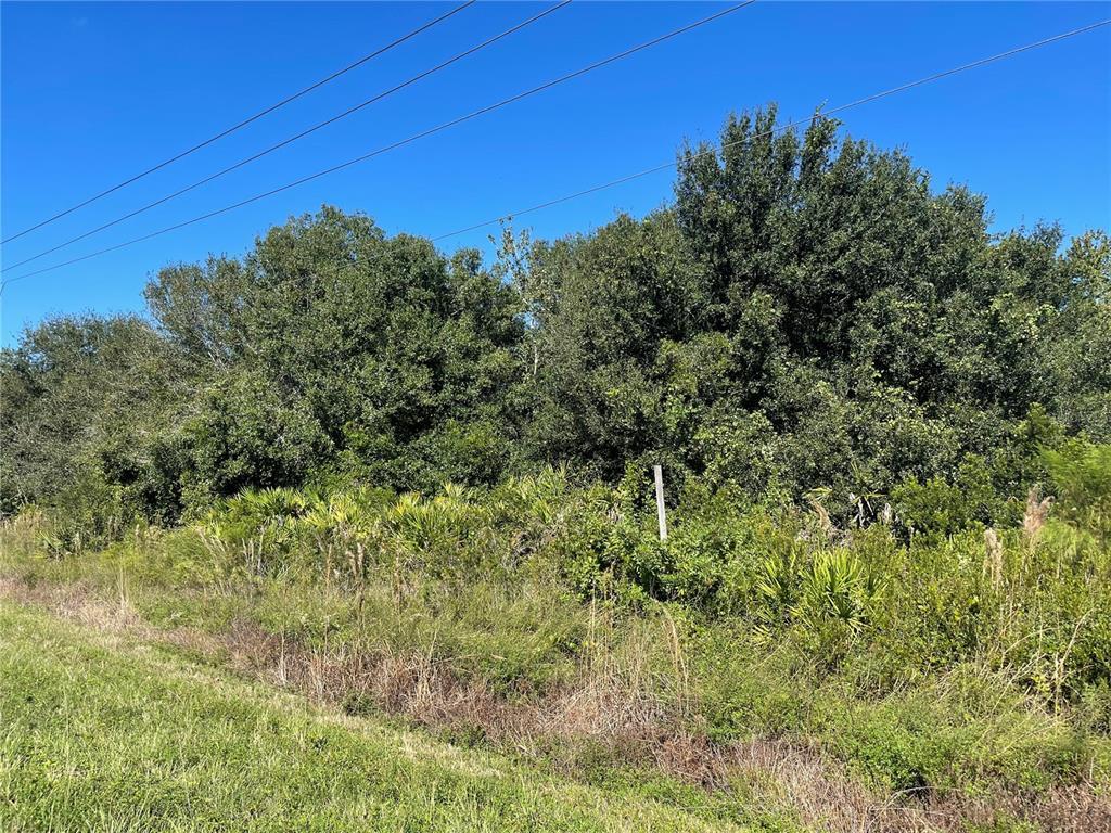 Property Photo: 3994 SE County Road 760A FL 34266