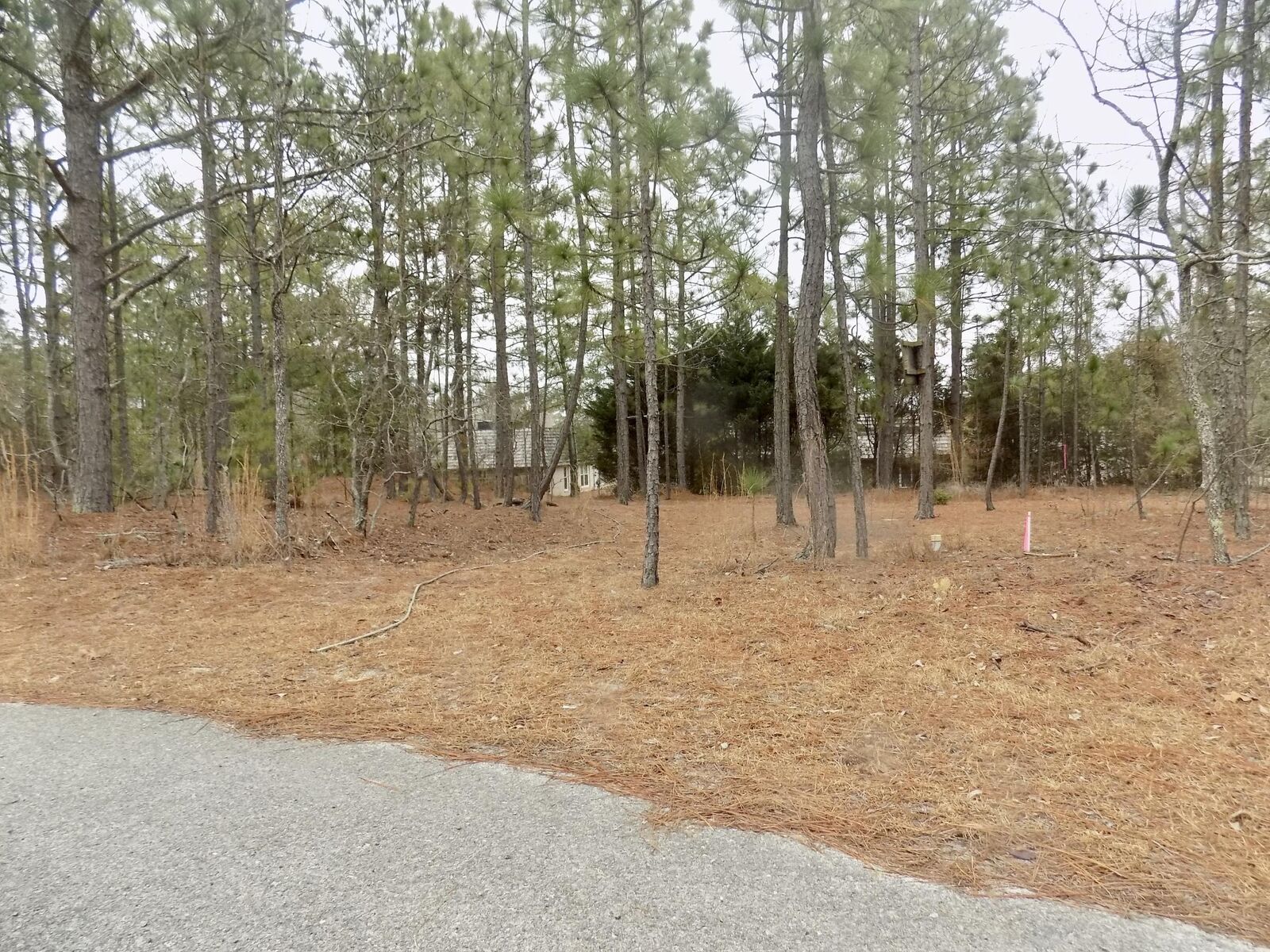 Property Photo:  3 Lee Court  NC 28374 
