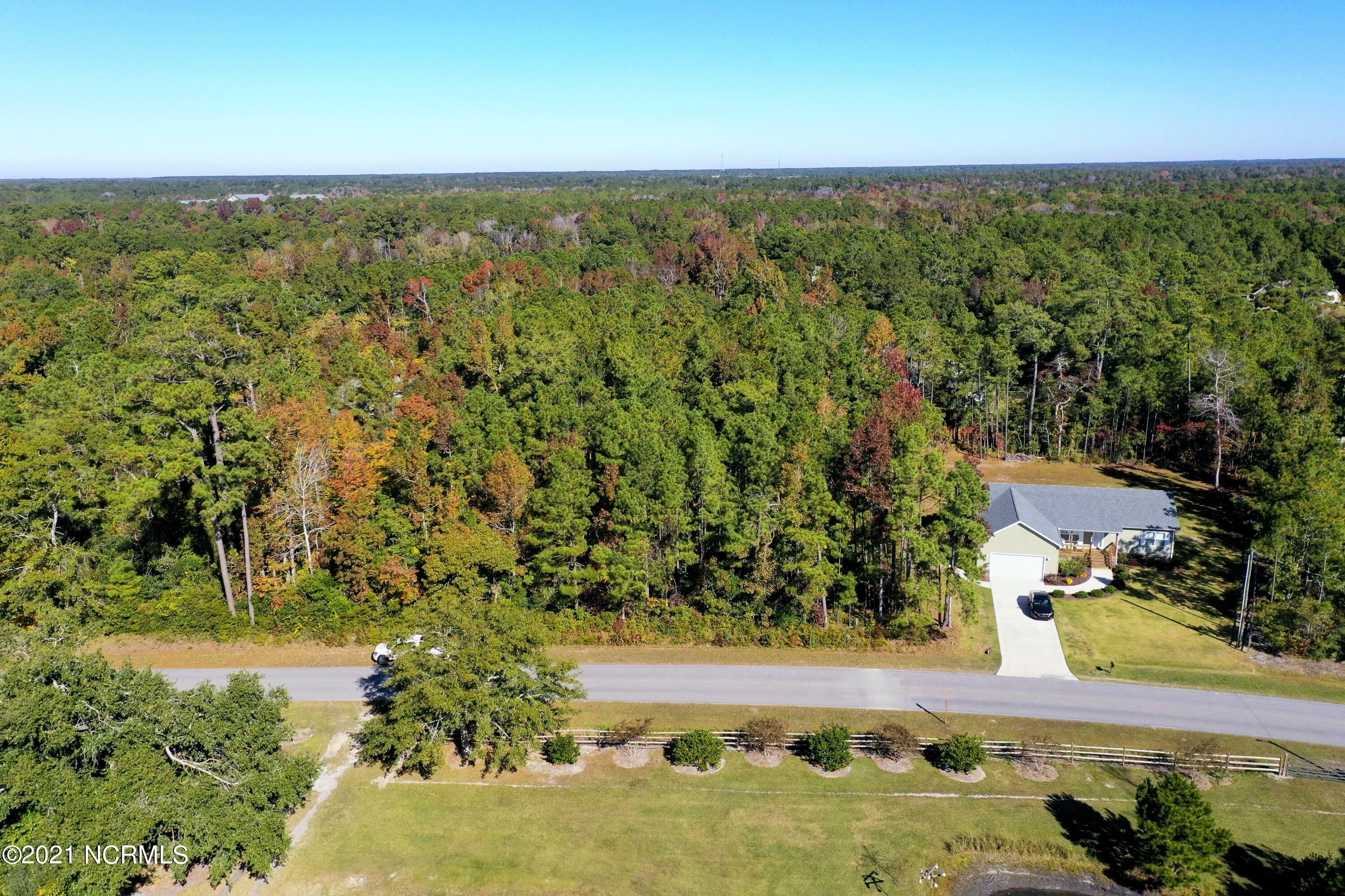 Property Photo:  29 Atkinson Loop Road  NC 28443 