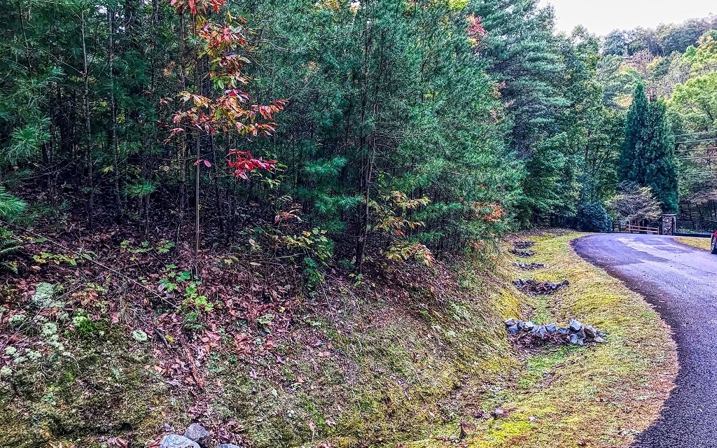 Property Photo:  Leatherwood Mountain Road  GA 30522 