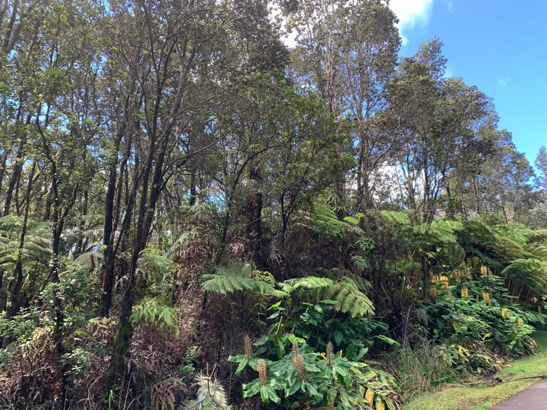Property Photo:  Nahelenani St  HI 96785 