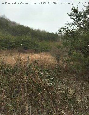 Property Photo: 0 State Route 34 WV 25213