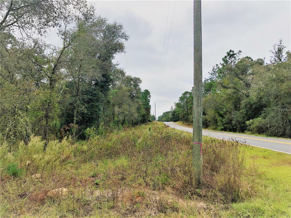 Property Photo:  000 NW Hank Hoff Ave  FL 34431 