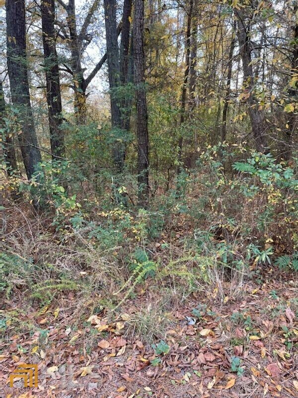 Property Photo: 2517 Hill Circle NE GA 30012