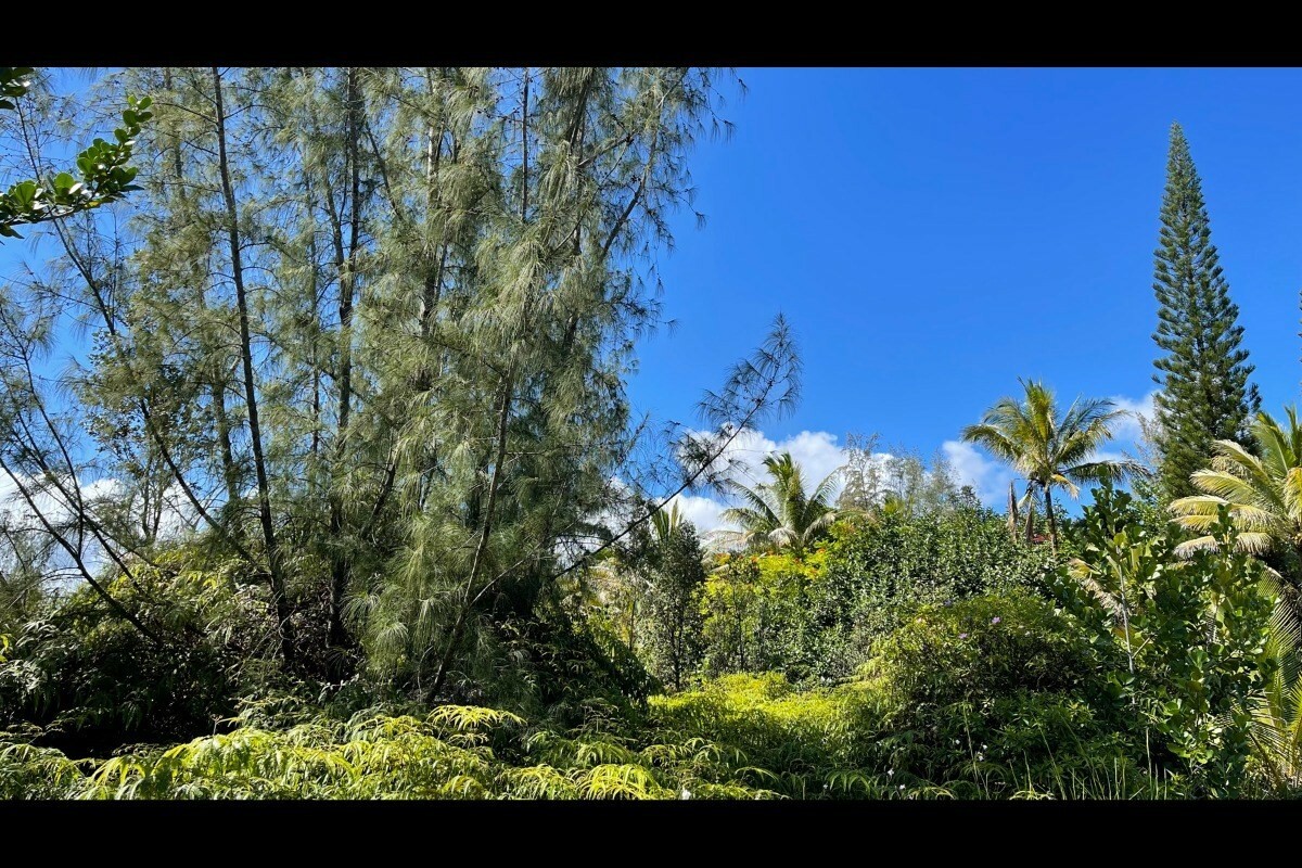 Property Photo:  1st Ave (Akala)  HI 96749 