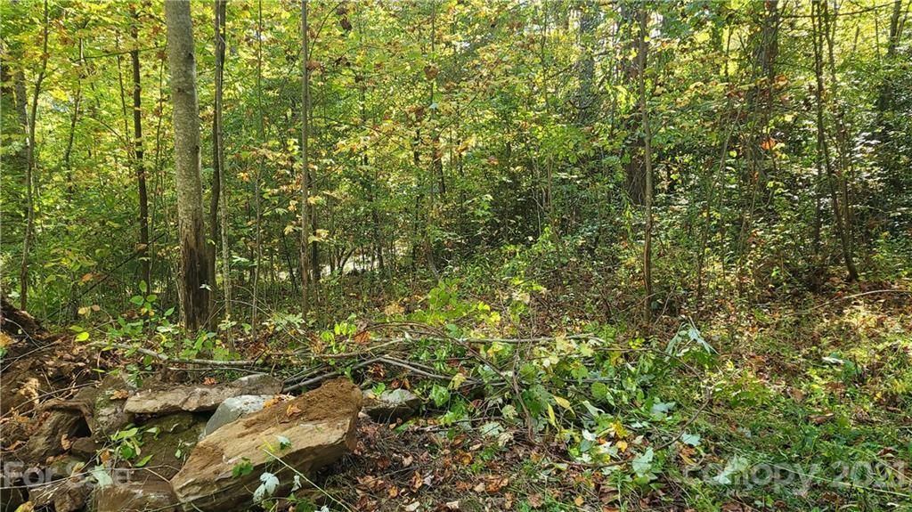 Property Photo:  Lot 1 Carpenter Branch Road  NC 28751 