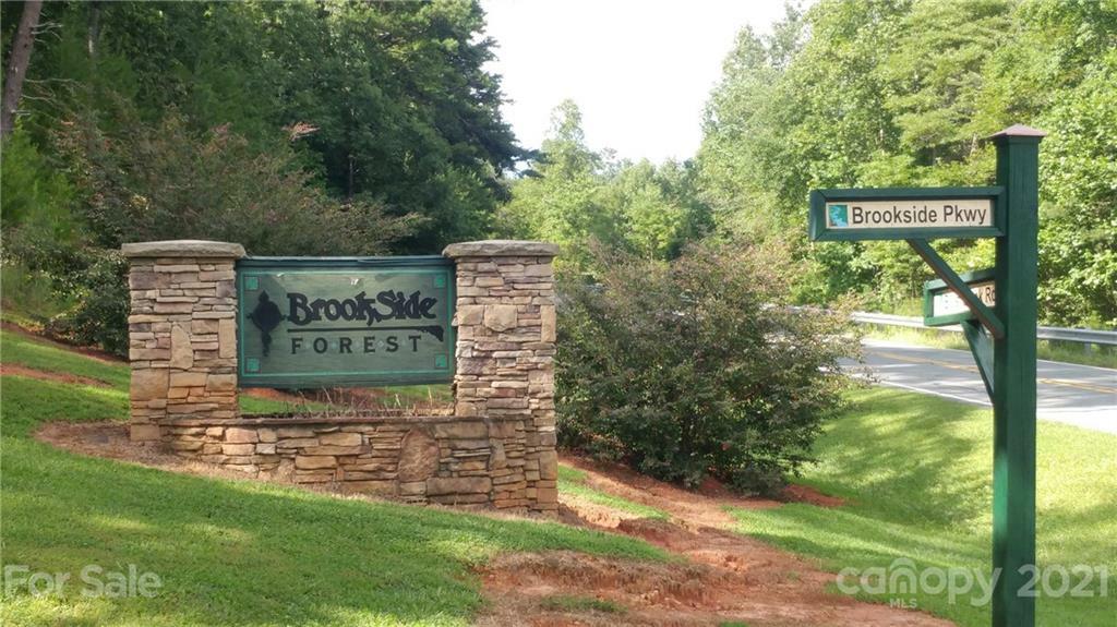 0 Brookside Parkway 40  Lake Lure NC 28746 photo