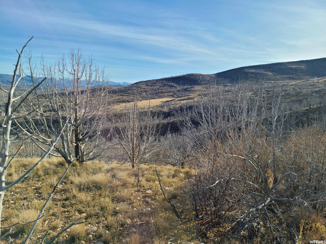 Property Photo: Address not disclosed UT 84629