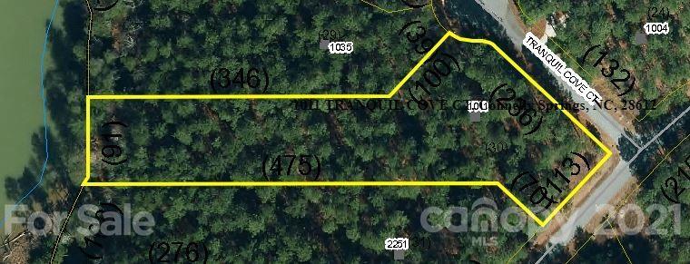 Property Photo:  1011 Tranquil Cove Court  NC 28612 