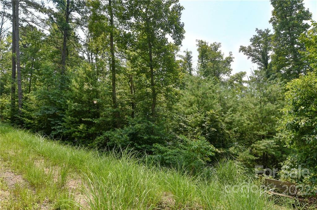 Property Photo:  Lot 2 The Vines Boulevard Lot 2  NC 28753 