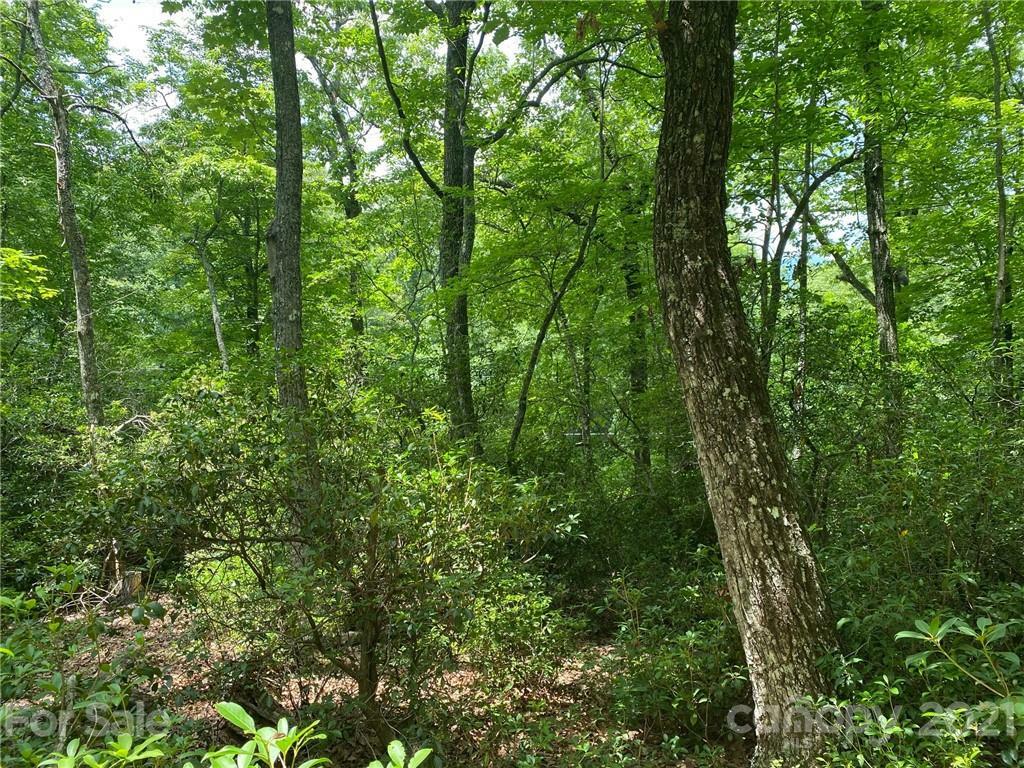 Property Photo:  V/L Lytle Mountain Road  NC 28752 