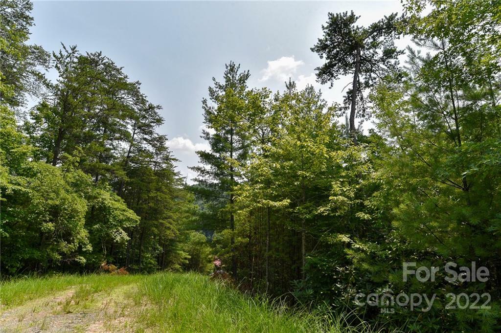 Property Photo:  Lot 22 The Vines Boulevard Lot 22  NC 28753 