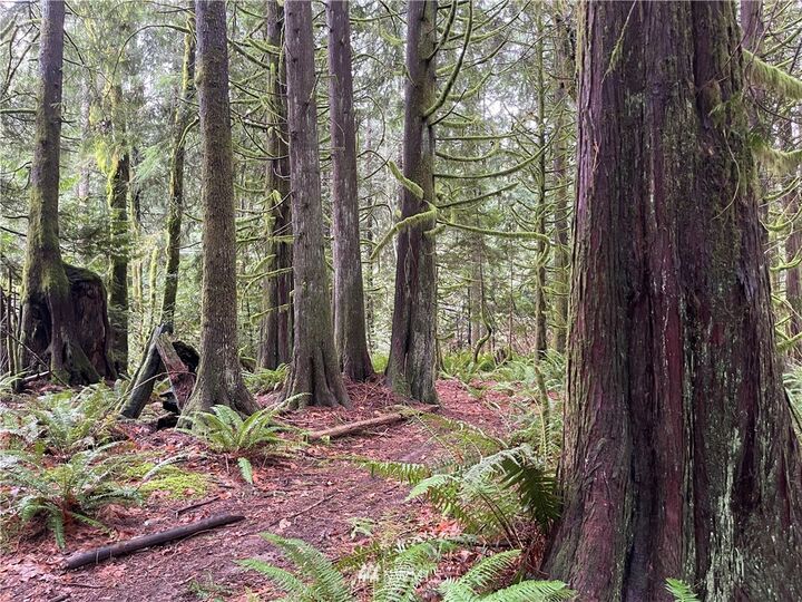 Property Photo:  273 Xn Old Pipeline Road  WA 98272 