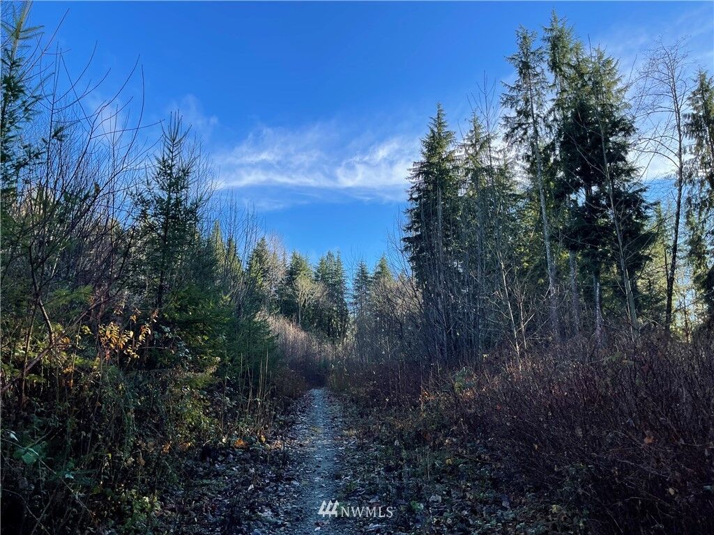 Property Photo:  66 Xd Woods Creek Road  WA 98272 