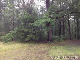 Property Photo: 00 Riverview Road NC 28092