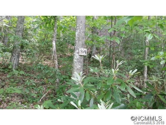 Property Photo:  Lot 319 Hawk Nest Road  NC 28751 