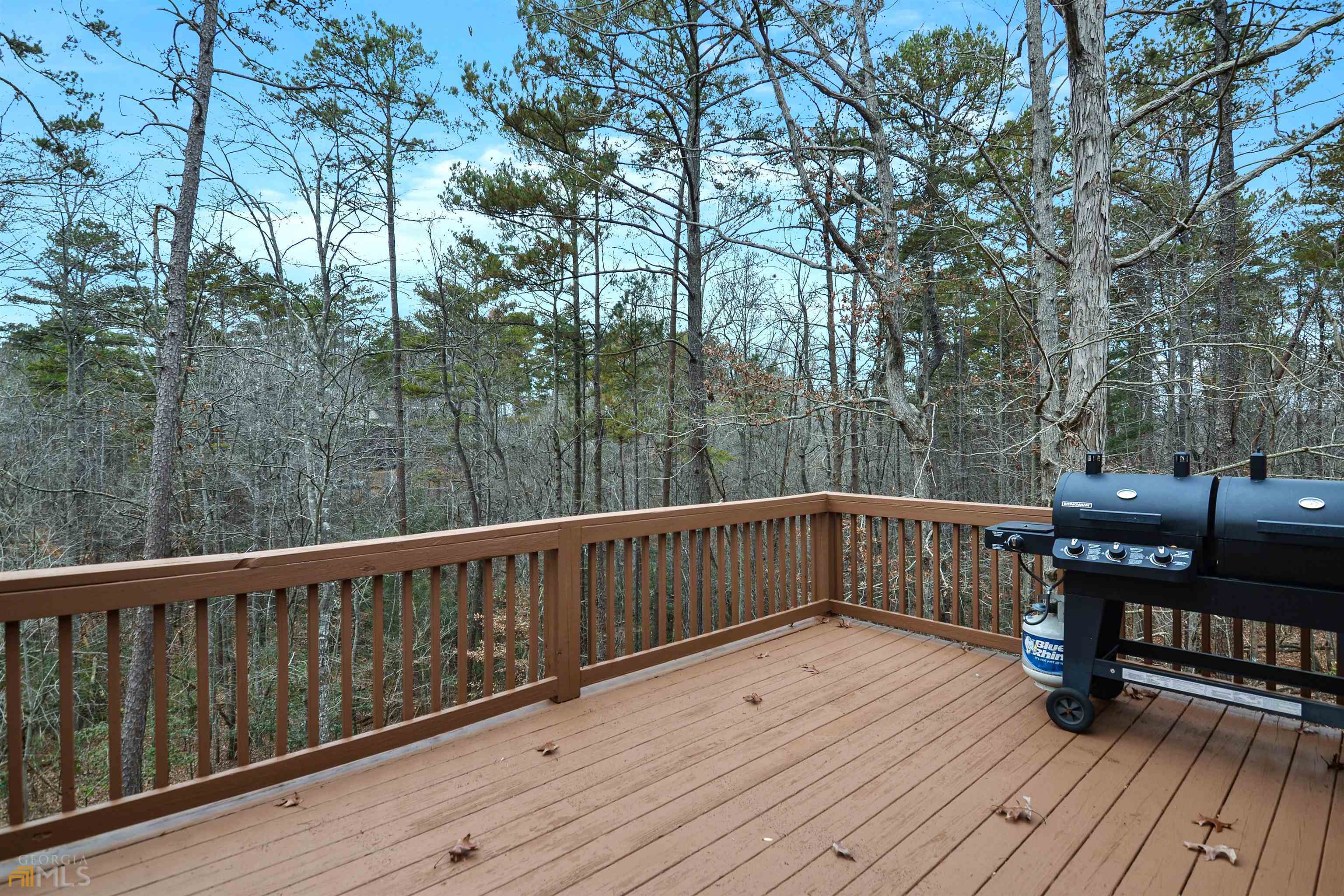 Property Photo:  59 Colgate Court  GA 30540 