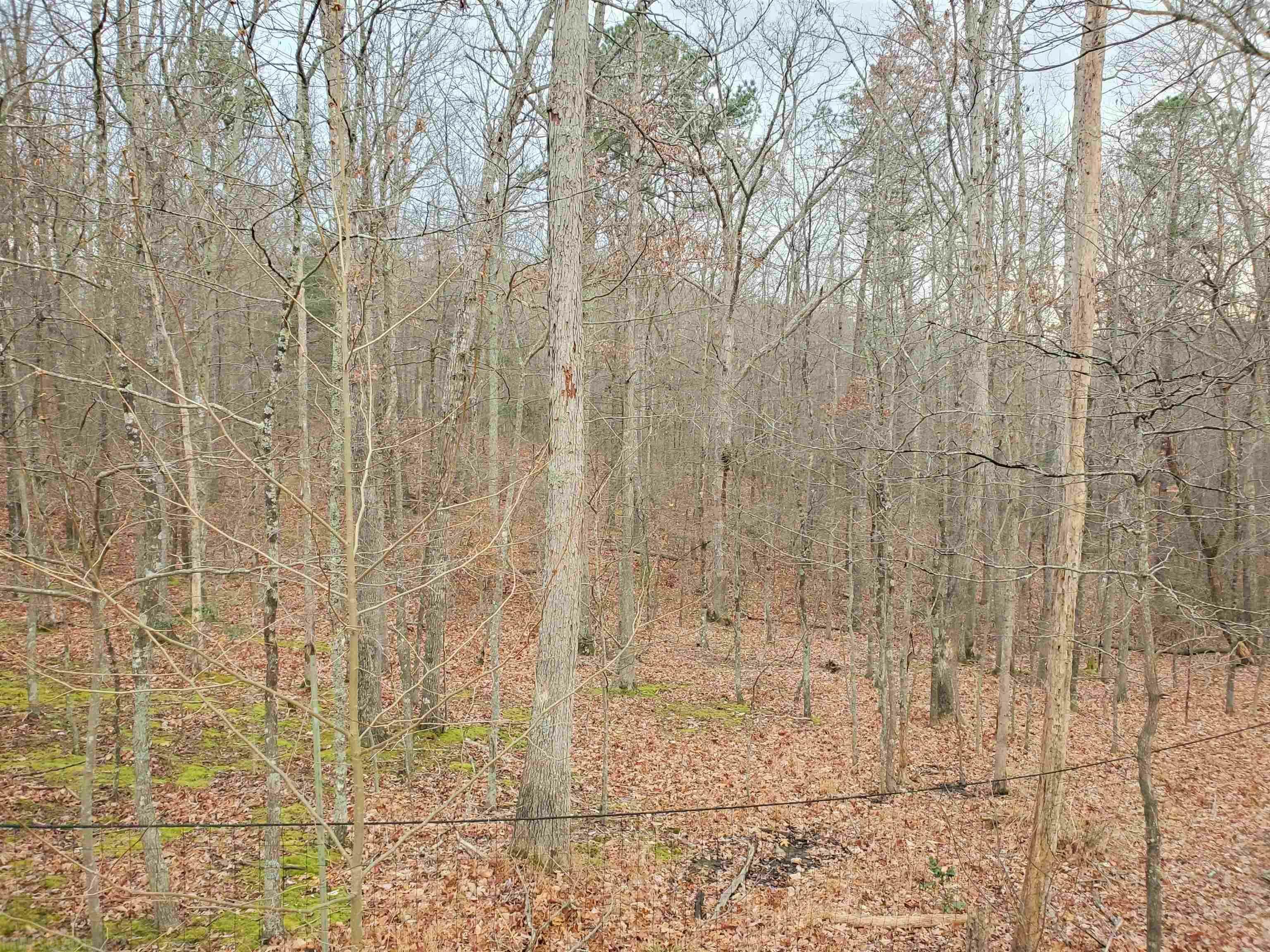 Property Photo:  4516 W Benoit Trail  VA 24060 