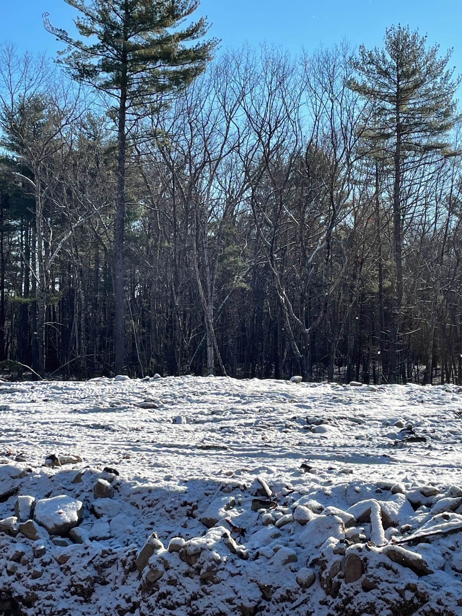 Property Photo: 11 Lilac Ridge Road NH 03087