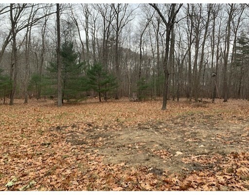 Property Photo:  10 Bird Ln (Lot 2A)  MA 02067 