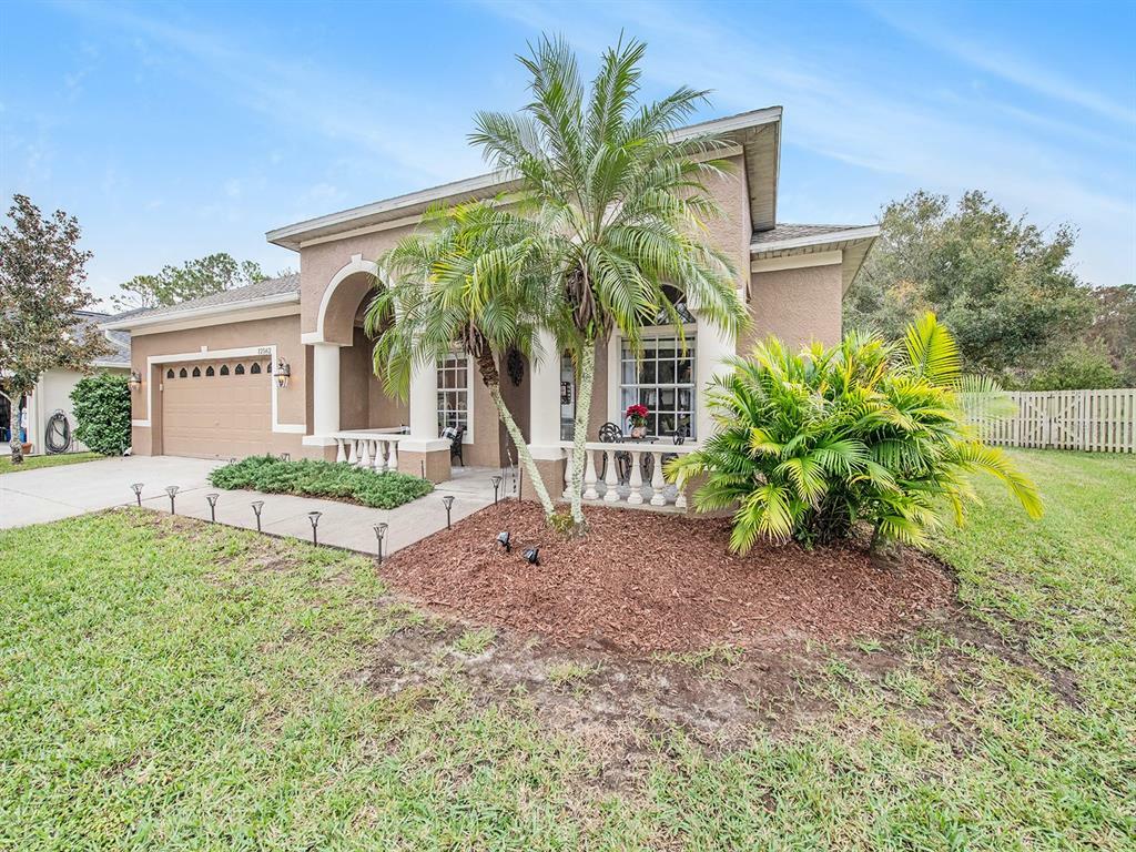 Property Photo:  12562 Leatherleaf Drive  FL 33626 