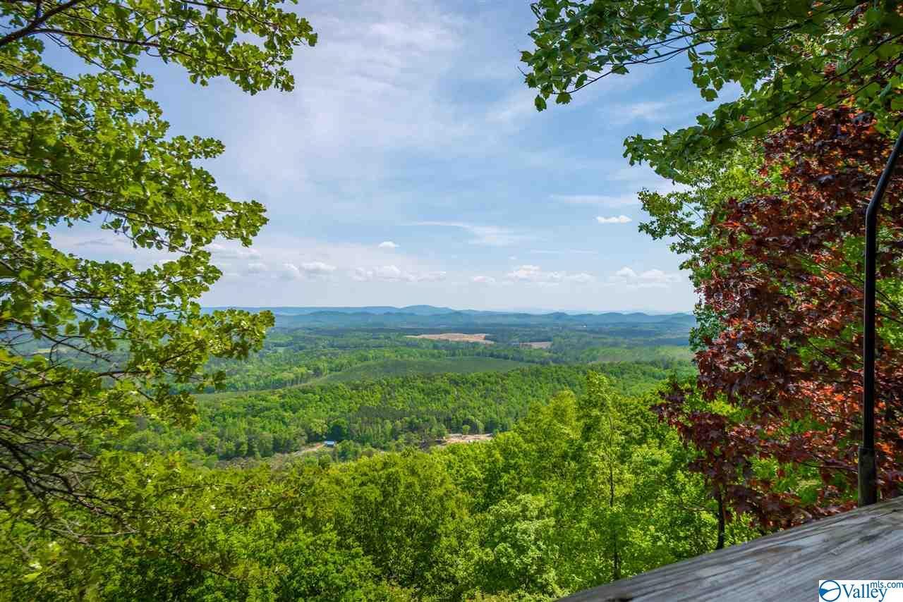 Property Photo: 480 County Road 859 AL 35984