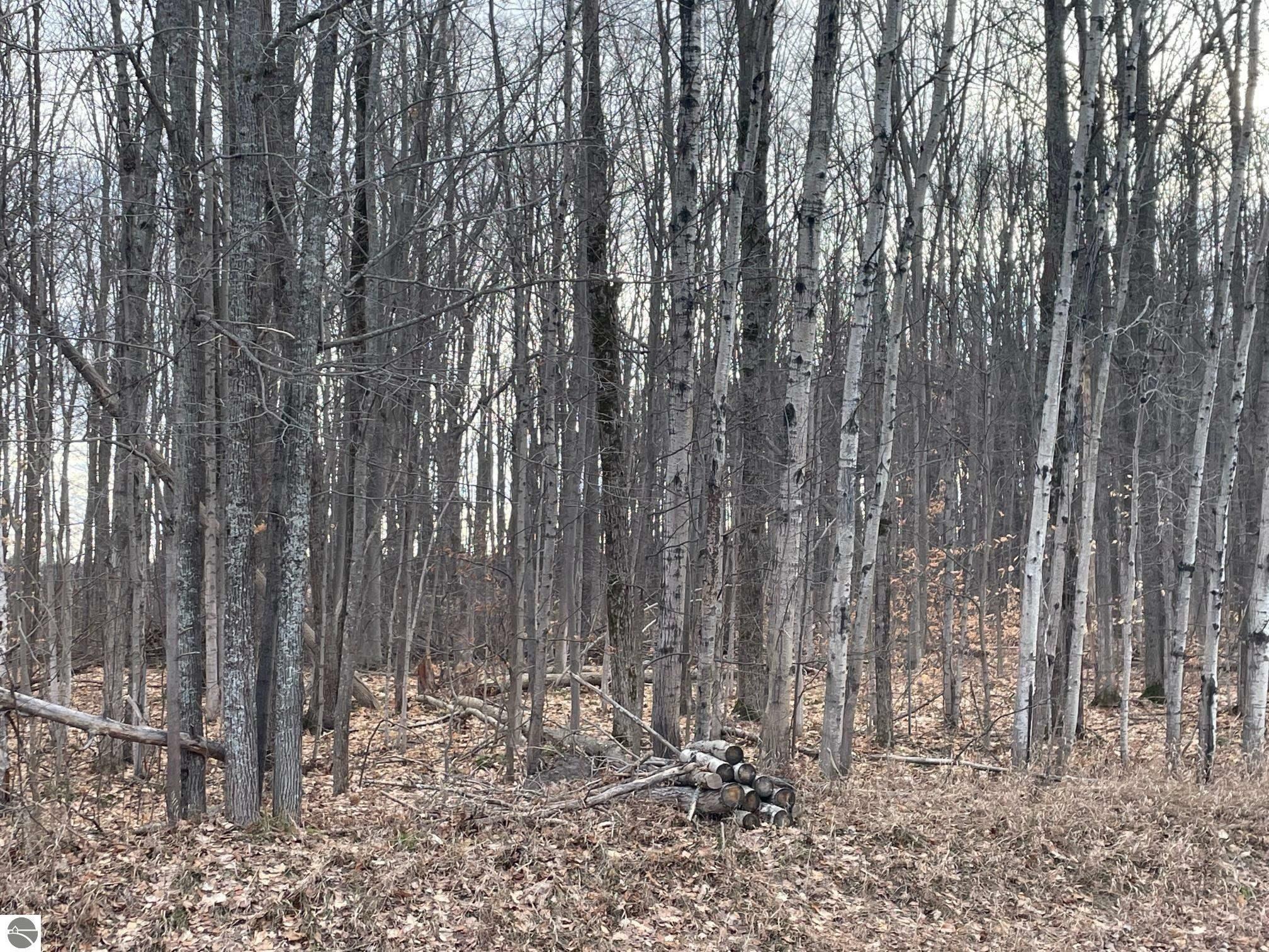 00 US-131, SW  South Boardman MI 49680 photo