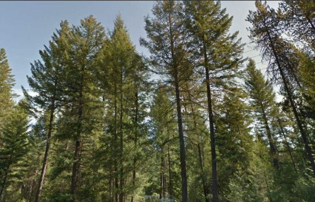 Property Photo: 1902 E Deer Park Milan Rd WA 99006