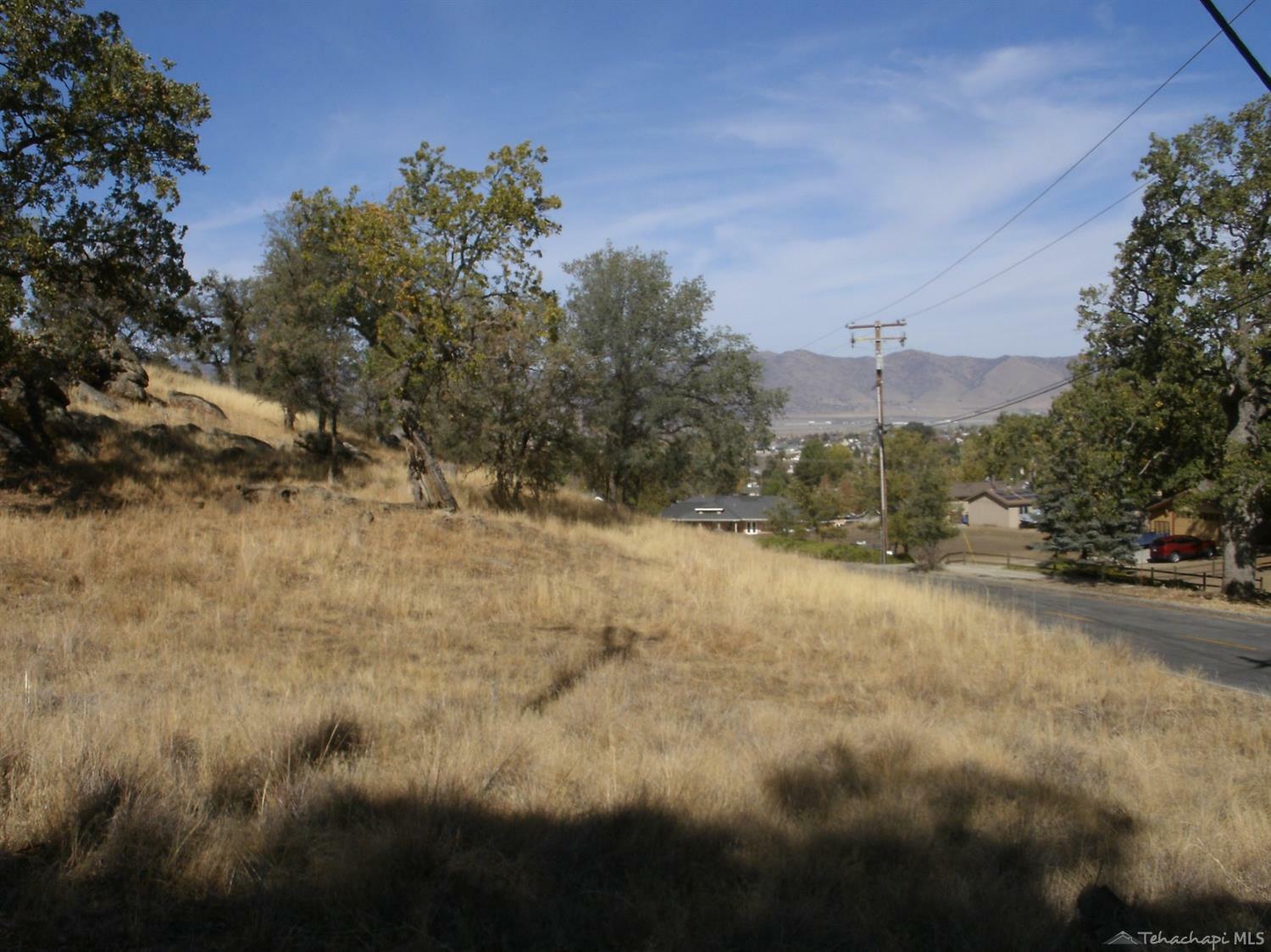 Property Photo:  0 Cedar Canyon Lot 4  CA 93561 