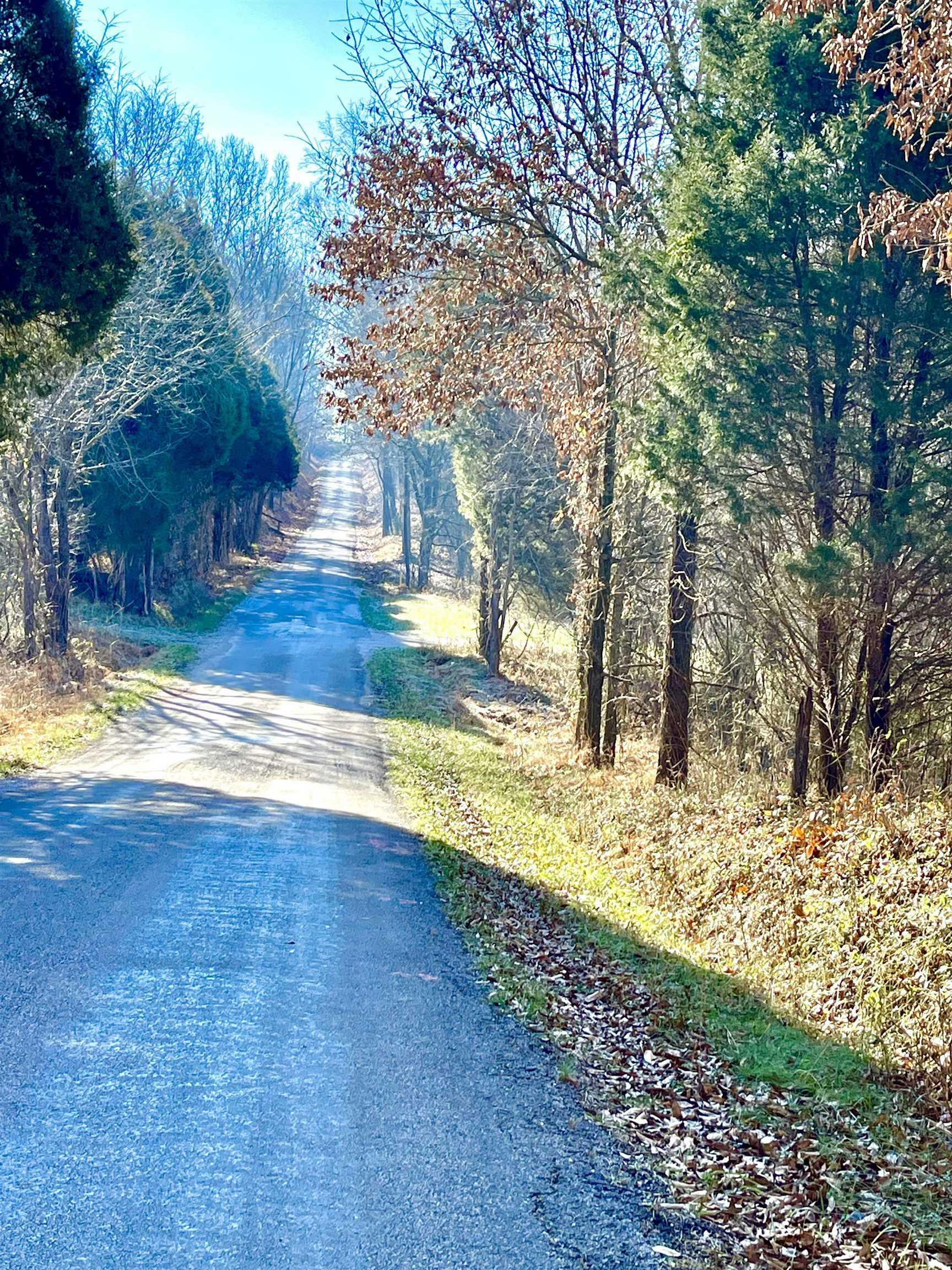 N Cr 200 E County Rd Road  Gentryville IN 47537 photo