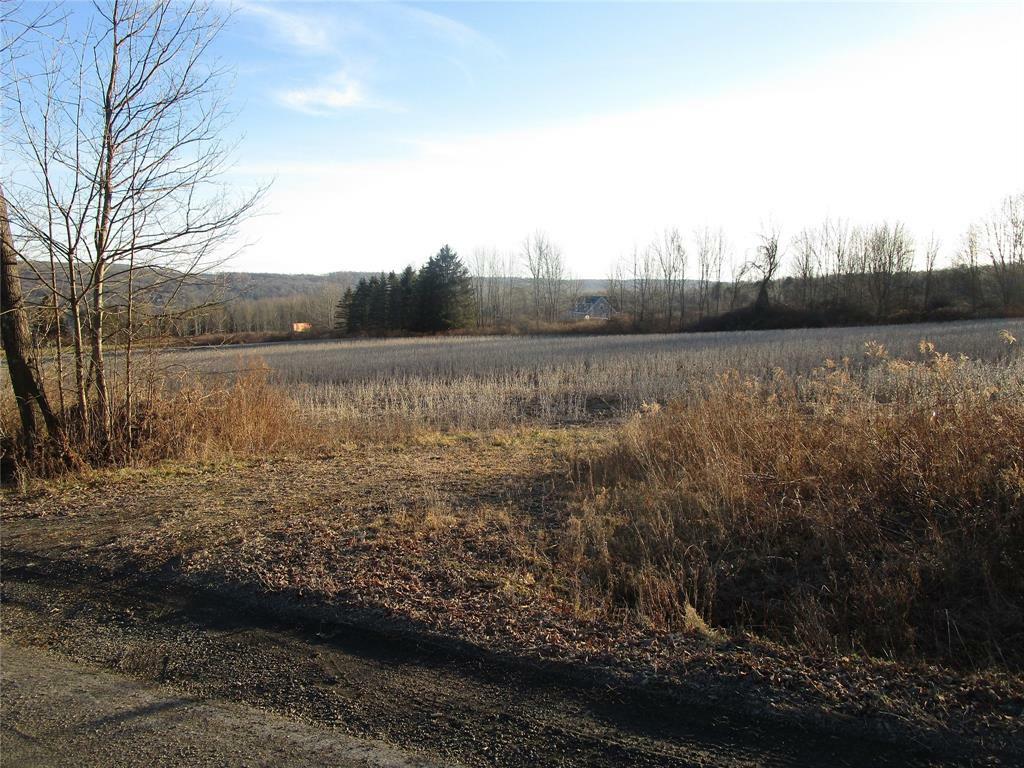 Property Photo:  0 W State Road W  NY 13830 