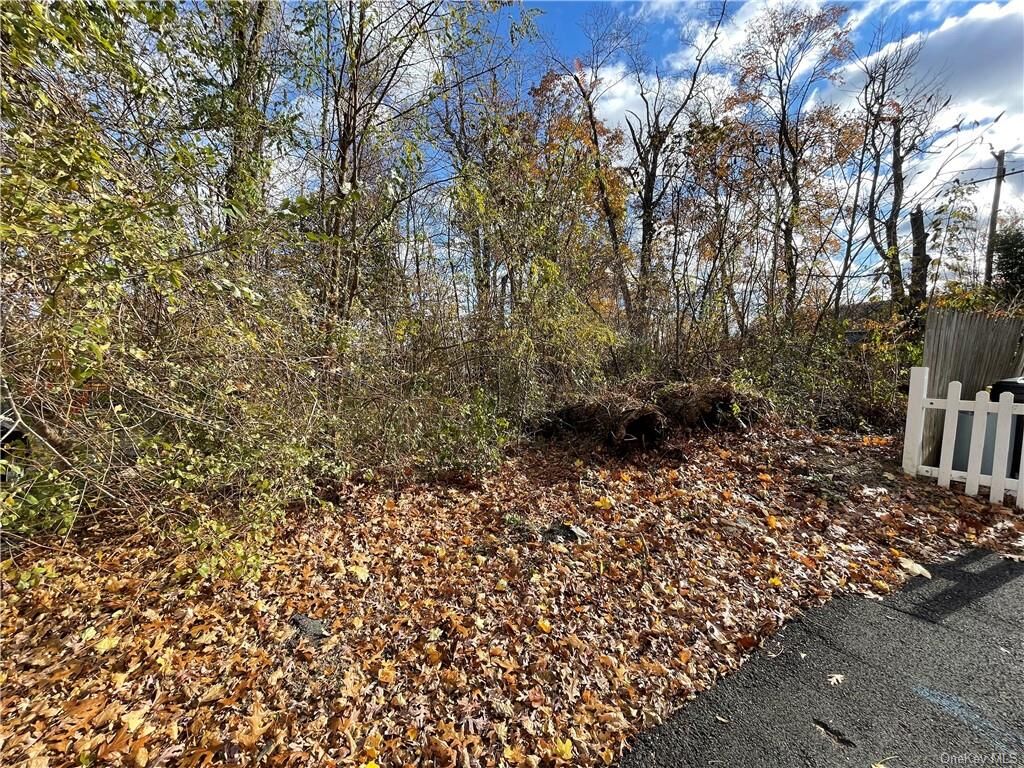 Property Photo:  15 Dye Street  NY 10923 